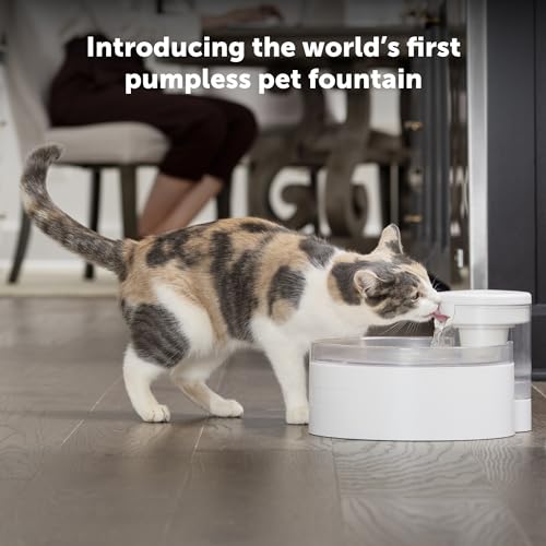 PetSafe Outlast Pumpless Cat Water Fountain, 90 oz.
