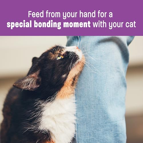 Wellness Lickable Tuna Cat Treats, 2.5 oz. (6 Pack)