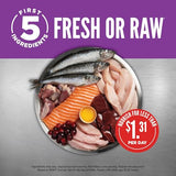 Orijen Chicken, Turkey, Salmon & Herring Kitten Dry Cat Food, 7 lbs.