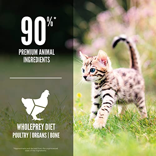 Orijen Chicken, Turkey, Salmon & Herring Kitten Dry Cat Food, 7 lbs.
