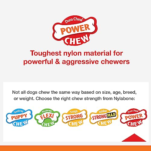 Nylabone Bacon Glazed Donut Chew Toy, Large (1 Count)