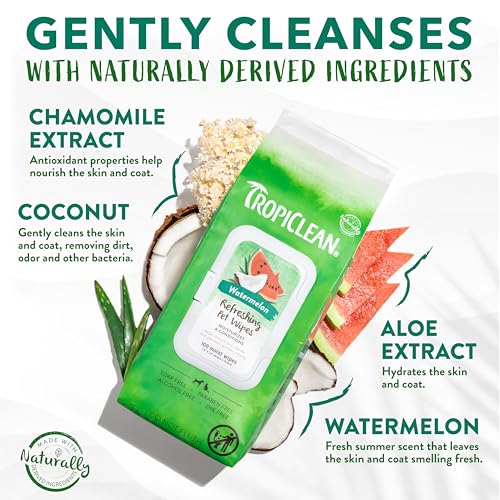 TropiClean Watermelon Paws & Butt Deep Cleaning Grooming Wipes, 100 Count