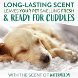 TropiClean Watermelon Paws & Butt Deep Cleaning Grooming Wipes, 100 Count