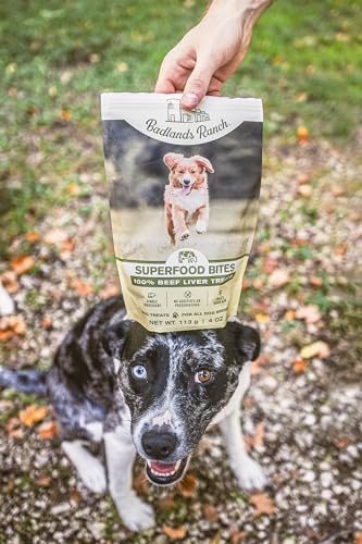 Badlands Ranch Superfood Bites Beef Liver, 4-oz Pack Of 1 Dog