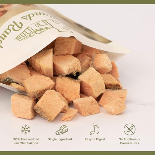 Badlands Ranch Superfood Bites Salmon Dog Treats, 4-oz Pack Of 1