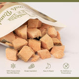 Badlands Ranch Superfood Bites Salmon Dog Treats, 4-oz Pack Of 1