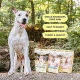 Badlands Ranch Superfood Bites Salmon Dog Treats, 4-oz Pack Of 1