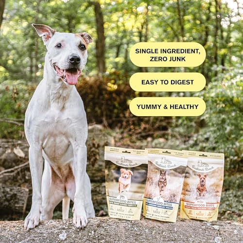 Badlands Ranch Superfood Bites Salmon Dog Treats, 4-oz Pack Of 1