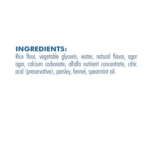 N-Bone Flossta Mint Dental Chews for Dogs, 12 oz.