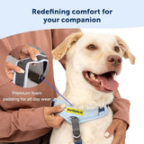 PetSafe Easy Walk Comfort No-Pull Dog Harness, Black (Medium/Large)