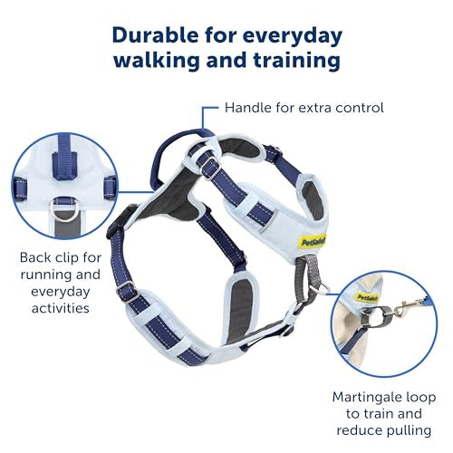 PetSafe Easy Walk Comfort No-Pull Dog Harness, Black (Medium/Large)