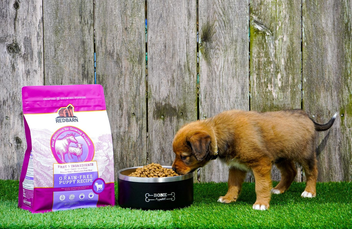Redbarn First-Five Kibble Puppy Beef & Lamb Recipe Dry Dog Food 22lb