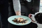 Nulo FreeStyle Beef, Beef Liver & Kale in Broth Dog Food Topper, 2.8 oz