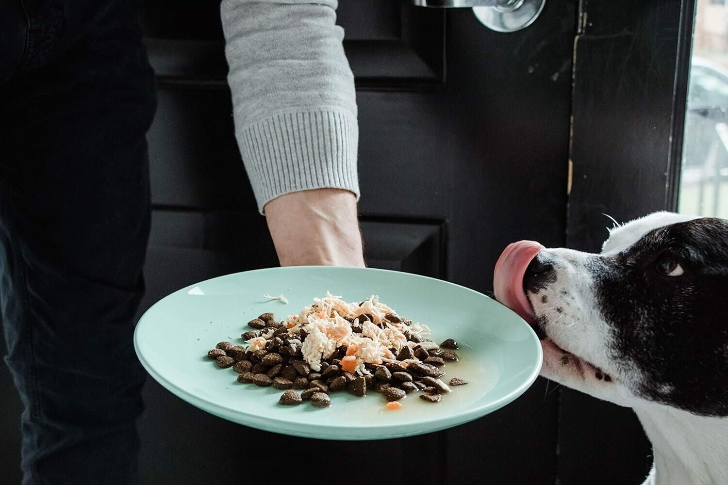 Nulo FreeStyle Beef, Beef Liver & Kale in Broth Dog Food Topper, 2.8 oz