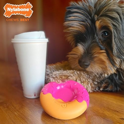 Nylabone Bacon Glazed Donut Chew Toy, Medium (1 Count)