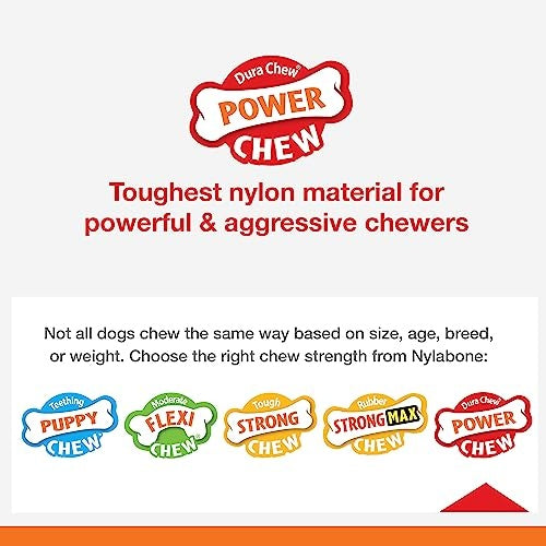Nylabone Bacon Glazed Donut Chew Toy, Medium (1 Count)