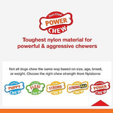 Nylabone Bacon Glazed Donut Chew Toy, Medium (1 Count)