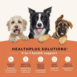 Canidae All Life Stages Salmon & Ancient Grains Dry Dog Food, 5 lbs.