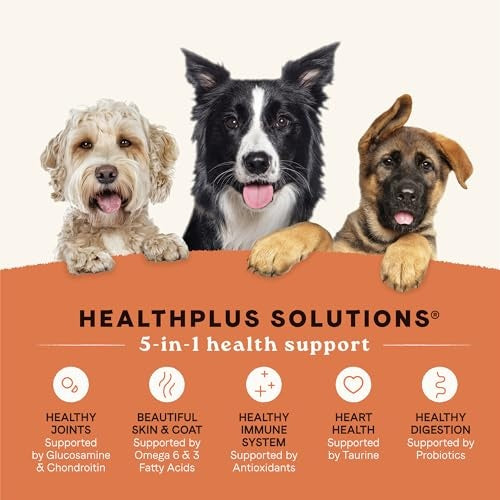 Canidae All Life Stages Salmon & Ancient Grains Dry Dog Food, 5 lbs.