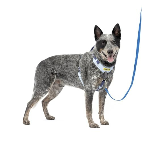 PetSafe Easy Walk Comfort No-Pull Dog Harness, Blue (Medium/Large)