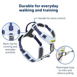 PetSafe Easy Walk Comfort No-Pull Dog Harness, Blue (Medium/Large)