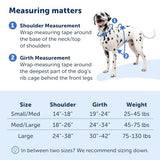 PetSafe Easy Walk Comfort No-Pull Dog Harness, Blue (Medium/Large)