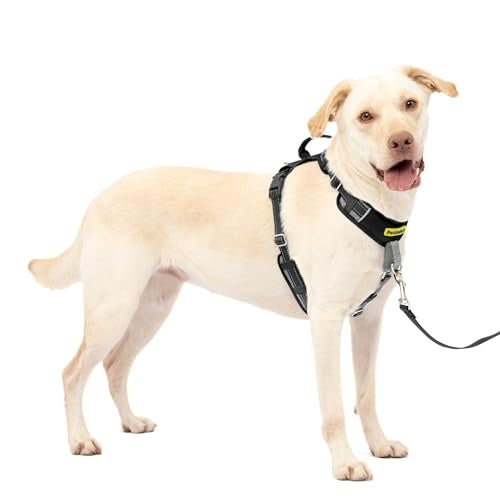 PetSafe Easy Walk Comfort No-Pull Dog Harness, Black (Large)
