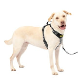 PetSafe Easy Walk Comfort No-Pull Dog Harness, Black (Large)