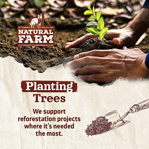 Natural Farm Smoked Beef Marrow Bone Dog Treat, 5-6 in.