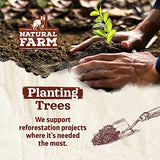 Natural Farm Smoked Beef Marrow Bone Dog Treat, 5-6 in.