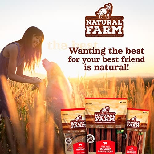 Natural Farm Smoked Beef Marrow Bone Dog Treat, 5-6 in.