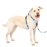 PetSafe Easy Walk Comfort No-Pull Dog Harness, Blue (Large)