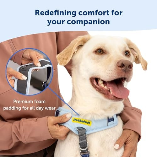 PetSafe Easy Walk Comfort No-Pull Dog Harness, Blue (Large)