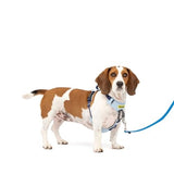 PetSafe Easy Walk Comfort No-Pull Dog Harness, Blue (Small/Medium)