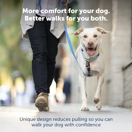 PetSafe Easy Walk Comfort No-Pull Dog Harness, Blue (Small/Medium)