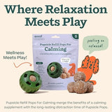 Woof Calming Wellness Pops Cat