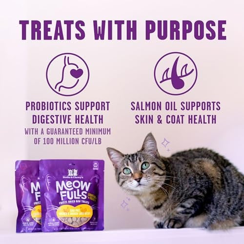 Stella & Chewy's Meowfulls Chicken & Chicken Liver Freeze-Dried Cat Treats, 1.5 oz.