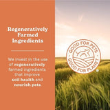 Canidae Chicken & Ancient Grains Dog Food, 5-Lb Pack Of 1