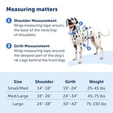 PetSafe Easy Walk Comfort No-Pull Dog Harness, Black (Small/Medium)