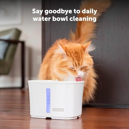 PetSafe Viva Pet Water Fountain, 64 oz.