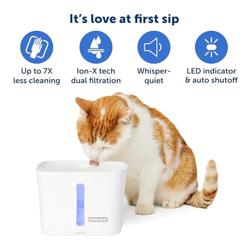 PetSafe Viva Pet Water Fountain, 64 oz.
