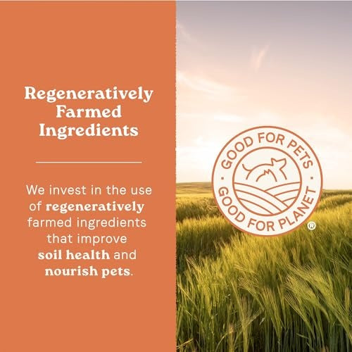 Canidae All Life Stages High Protein Dry Dog Food, 5 lbs Bag