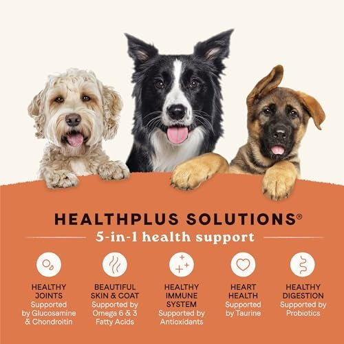Canidae All Life Stages Chicken & Ancient Grains Dry Dog Food, 40 lbs.