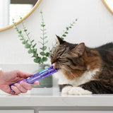 Antelope Kiss Me-Ow Chicken Dental Treat For Cats 2 oz