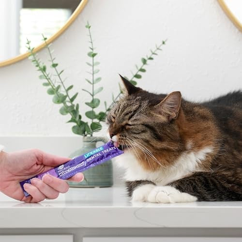 Antelope Kiss Me-Ow Chicken Dental Treat For Cats 2 oz