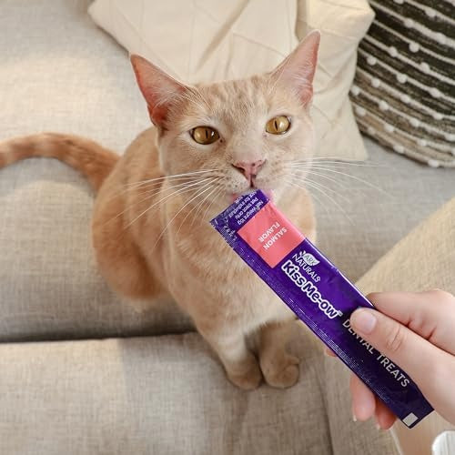 Antelope Kiss Me-Ow Salmon Dental Cat Treats, 2 oz.