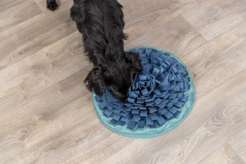 Trixie Snuffle & Seek Bowl Interactive Slow Feeder for Dogs & Cats, Level 1
