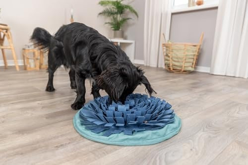 Trixie Snuffle & Seek Bowl Interactive Slow Feeder for Dogs & Cats, Level 1