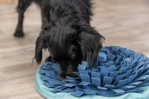 Trixie Snuffle & Seek Bowl Interactive Slow Feeder for Dogs & Cats, Level 1