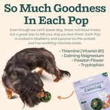 Woof Pupsicle Refill Pops Calming Treats - Long-Lasting Refills For The Pupsicle Toy